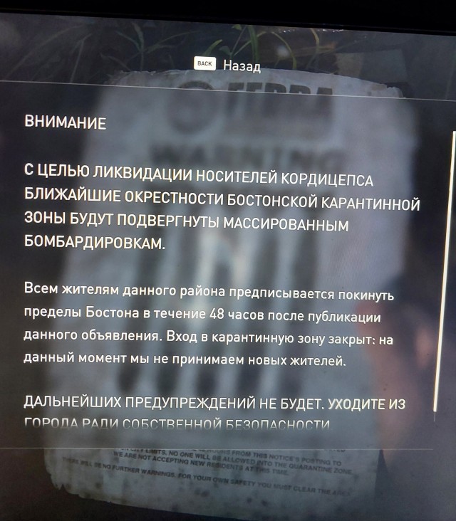 Грибочки