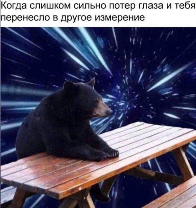 Картинки для деградации 82 (разной степени свежести)