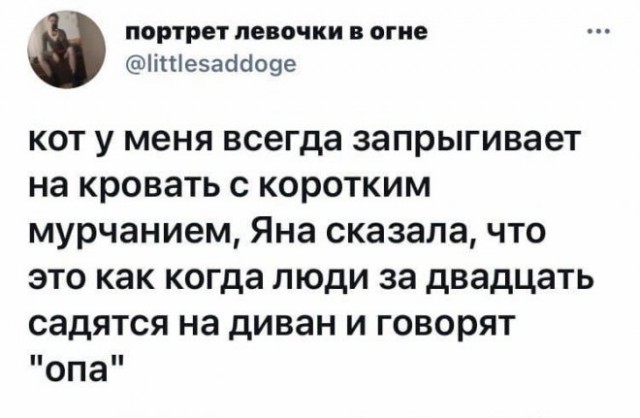 Веселые картинки в пятницу (12.12)