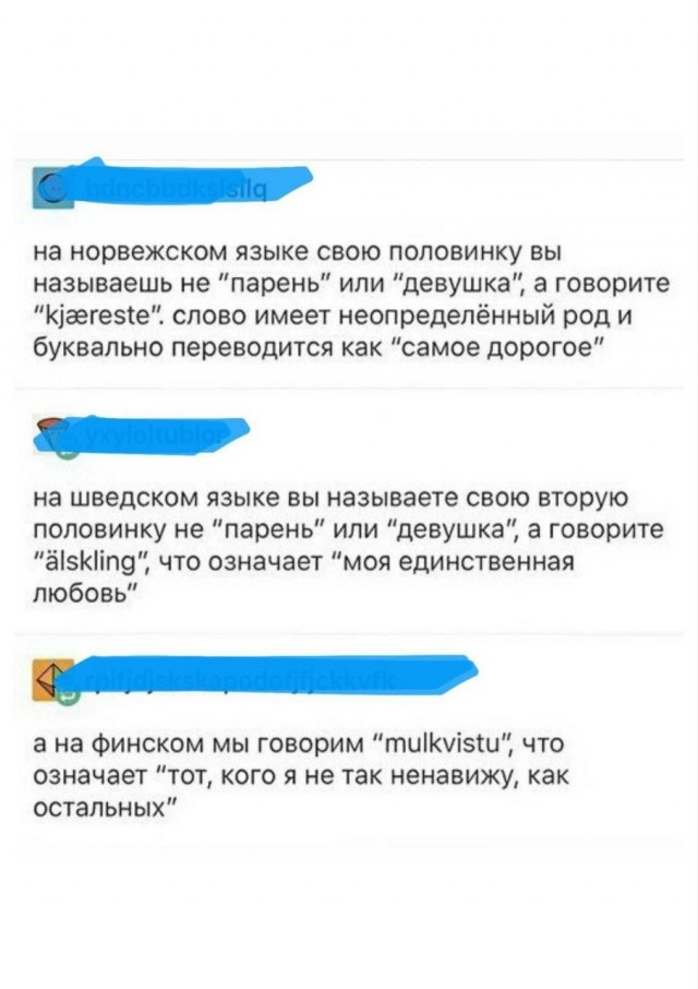 Так себе картинки 24.12.25