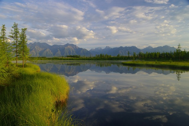 Опасное хобби моего мужа