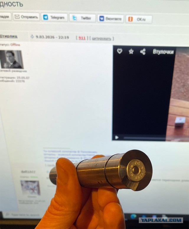 Всеядность