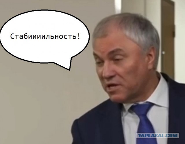 Вячеслав Володин напомнил о главном достижении России за последние 25 лет