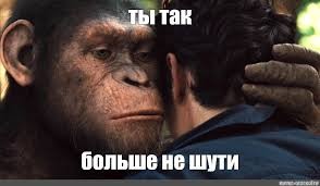 ВЦИОМ назвал запретные для россиян темы для шуток
