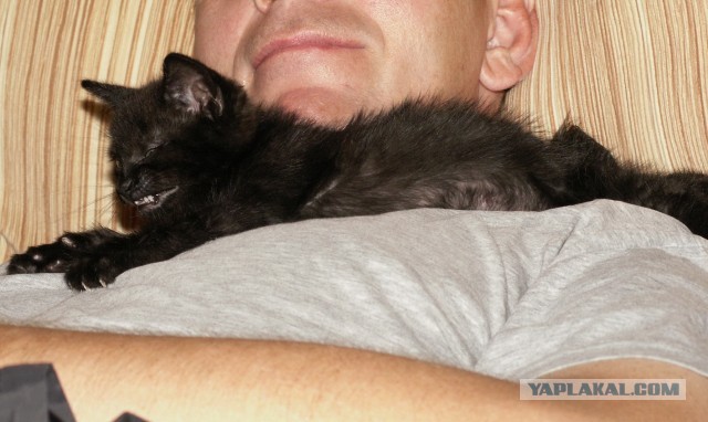 25 самых популярных суеверий со всего света