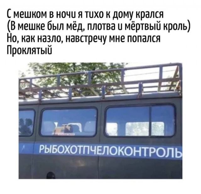 Картинки для деградации 193 (разной степени свежести)