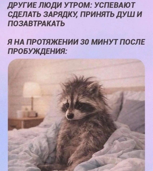 Немного юмора