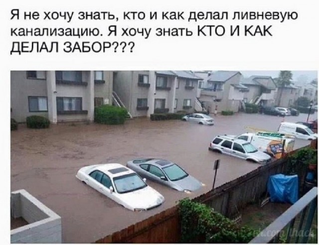 Так себе картинки 30.06.26