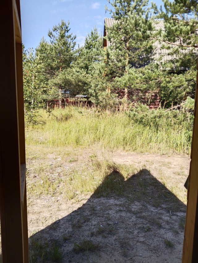 ДНК-тест