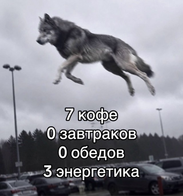 Веселое настроение в картинках 13.08.26