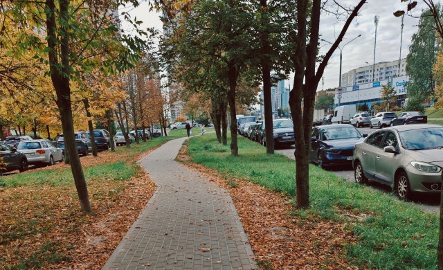 Все краски осени