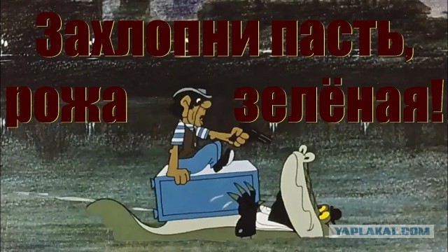 Один только кот понимает, к чему всё это приведёт