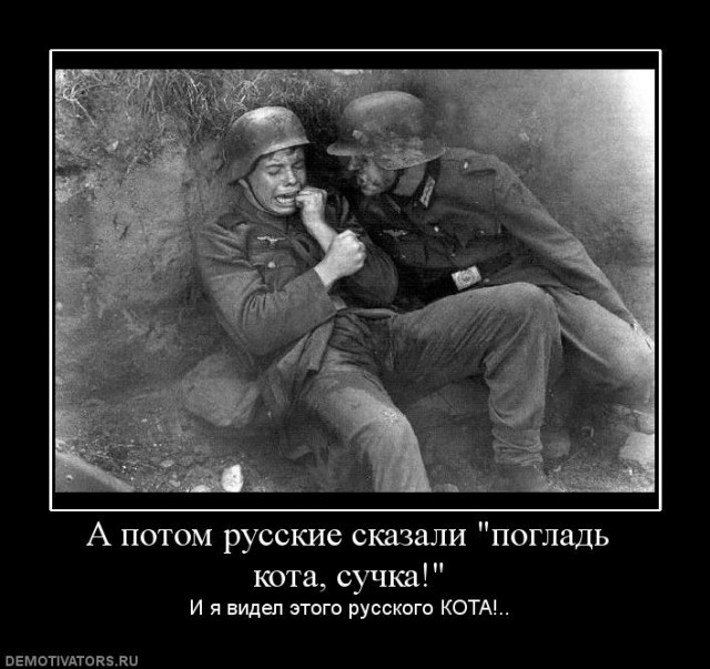 Ты не пройдешь, собака!