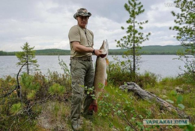 В водах Бразилии обитает двухметровая рыба