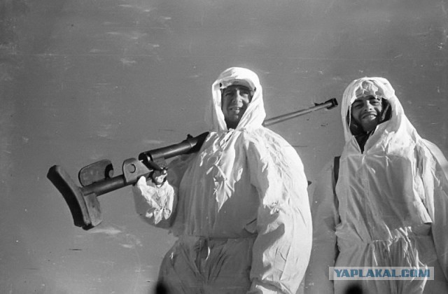 Оружие так и не ставшее легендой