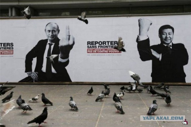 Картинки с просторов интернета