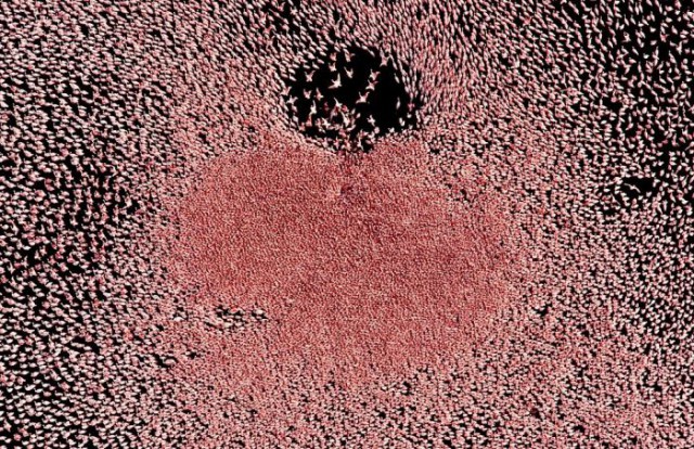 Без фотошопа