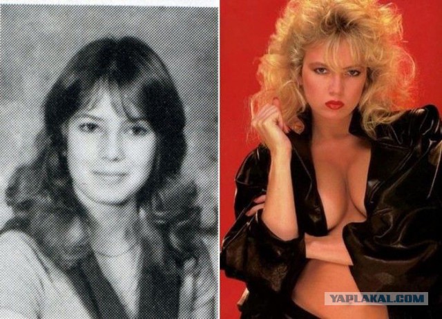 Как выглядели порнозвезды до начала своей карьеры