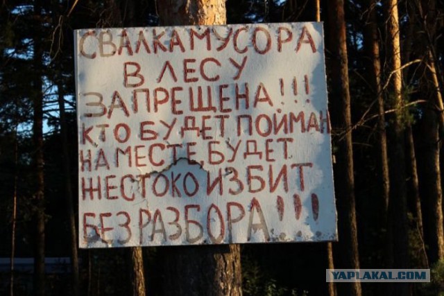 Надписи и объявления с просторов