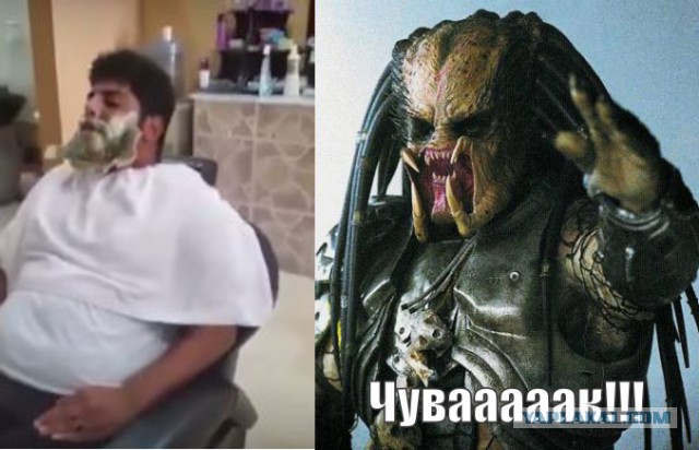 Вот как над бриться