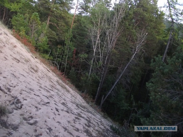 Самая крупная дюна в Европе — растет!