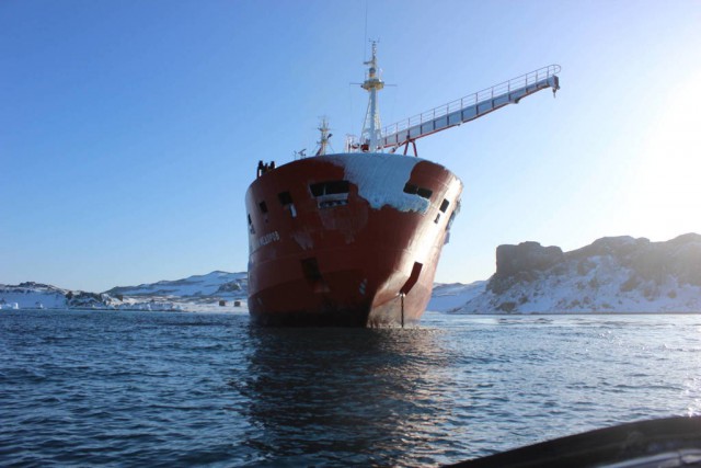 Полтора года зимы