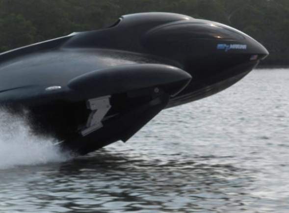 Морской фантом или искуственная касатка