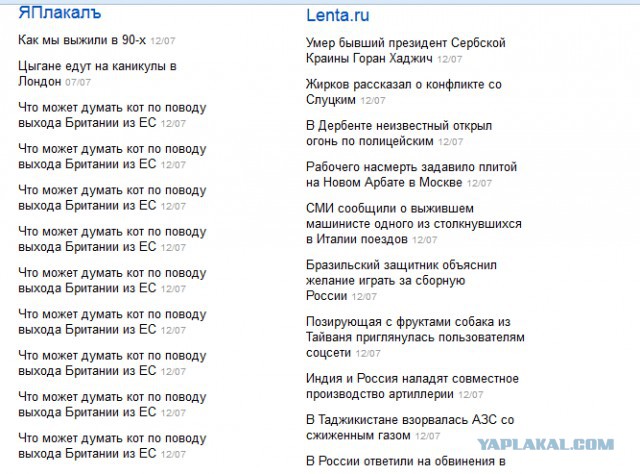 Что может думать кот по поводу выхода Британии из ЕС