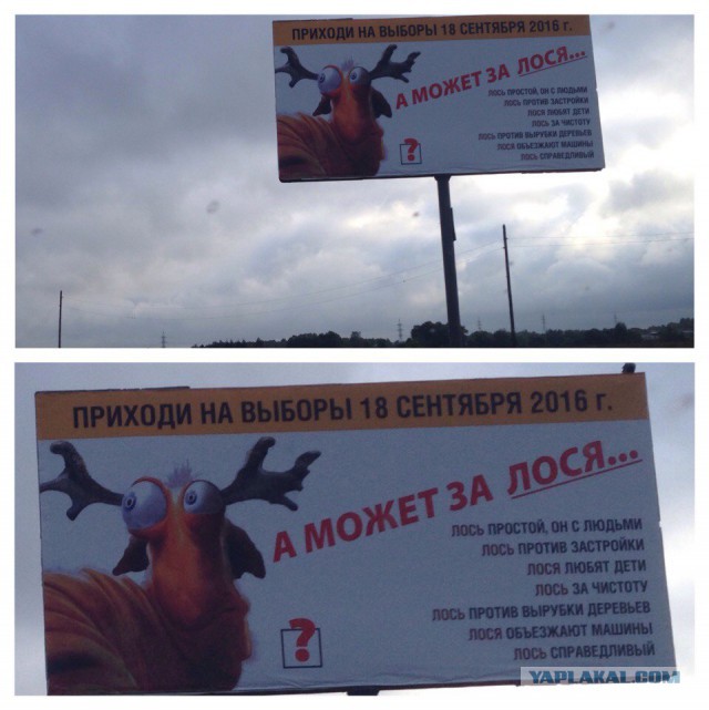 Выборы, выборы...
