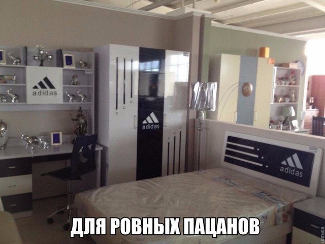 Смешные картинки из сети на 19.11.16