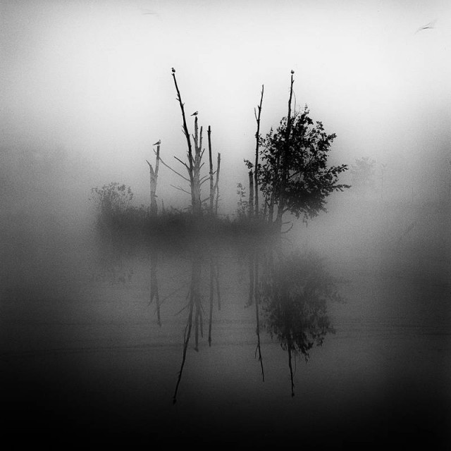 Фото-коктейль...