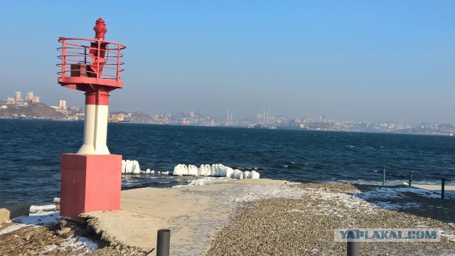 Каникулы во Владивостоке