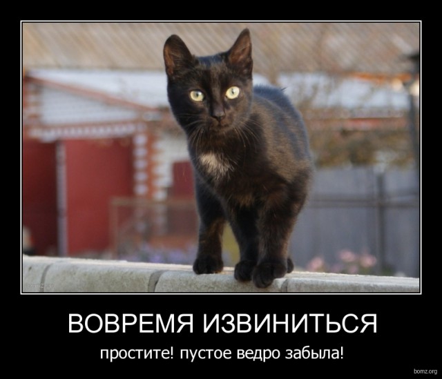 Старые добрые демотиваторы