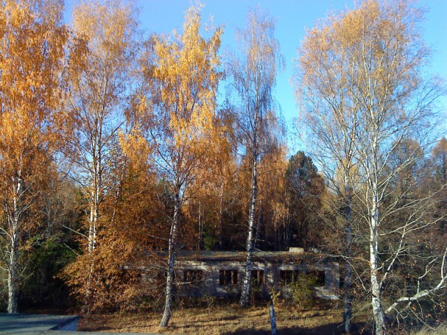 Пионерский лагерь "Энергетик"