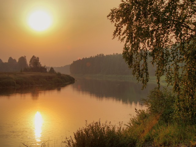 Несколько летних дней на Мологе. Фотоподборка.