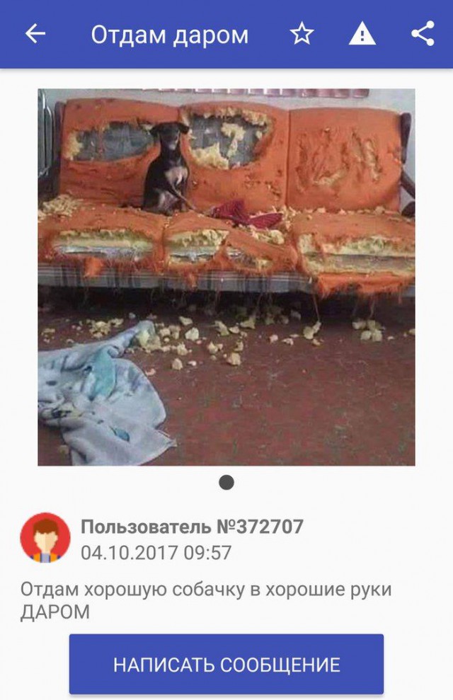 Картинки из ваших интернетов