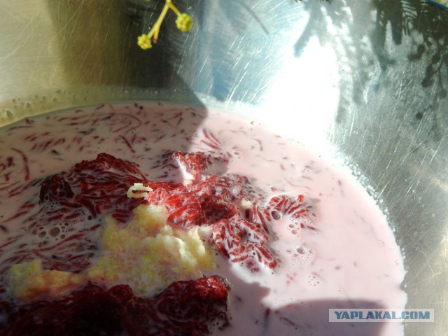 Селедка под шубой - 2019