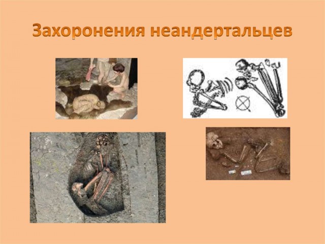 Все «недостающие звенья» в эволюционной цепочке от приматов к человеку найдены
