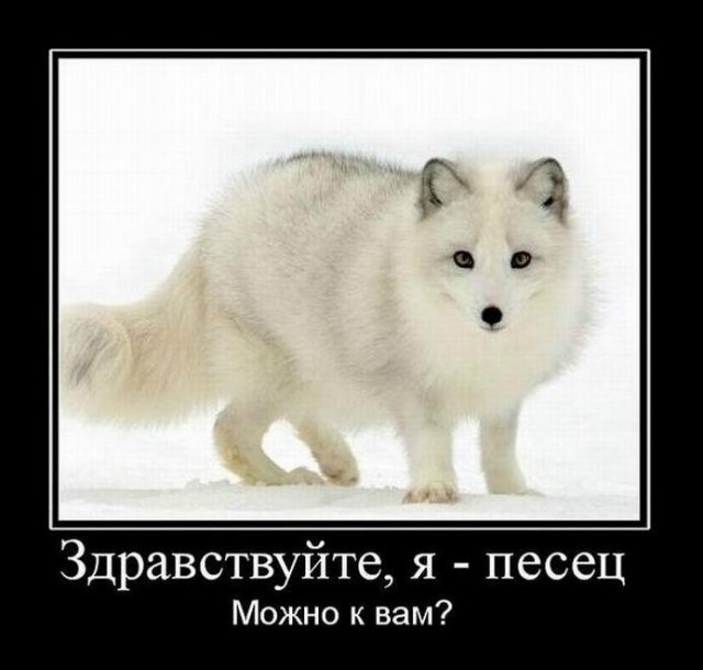Эксперты ВЭБ прогнозируют падение доходов россиян на 17,5%