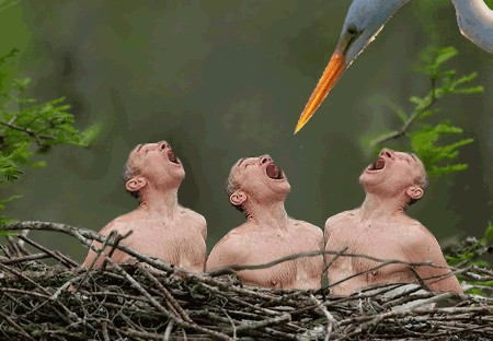 Фотожаба: Отличная водичка!