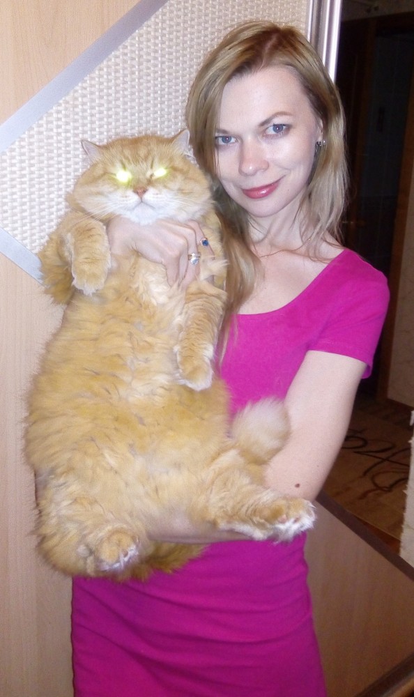 Котодед.