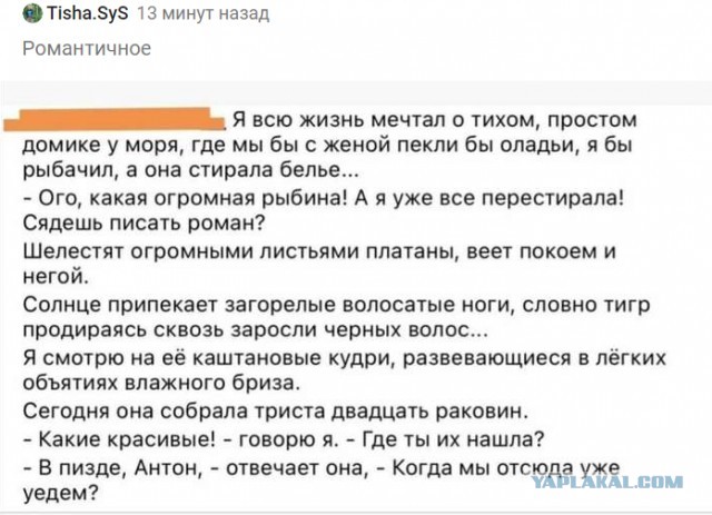 Бредзона 24.01.21