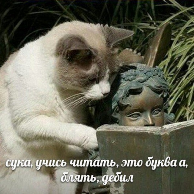 Юмор в картинках 24.08.21