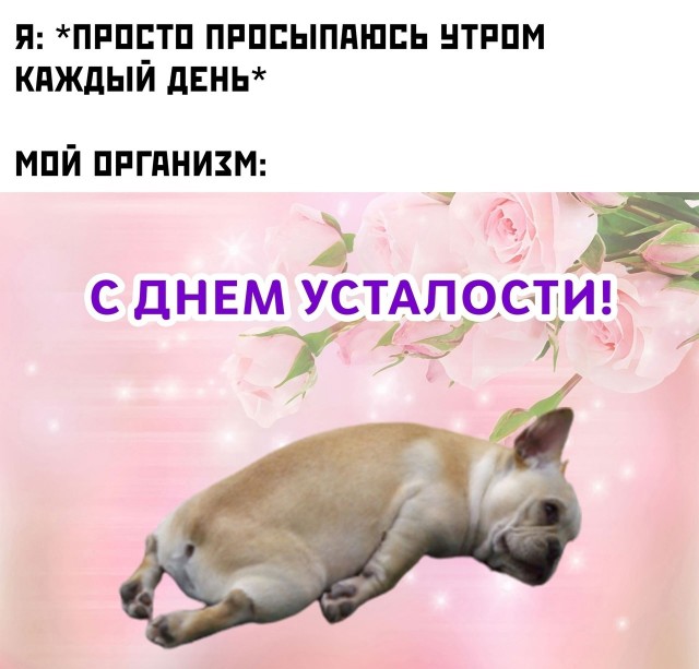 Ночные кретинизмы из сети 25.08.2021