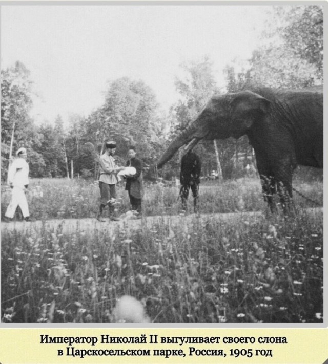 Фотографии с богатым историческим прошлым