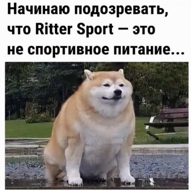 Картинки и мемы, всем прекрасных выходных