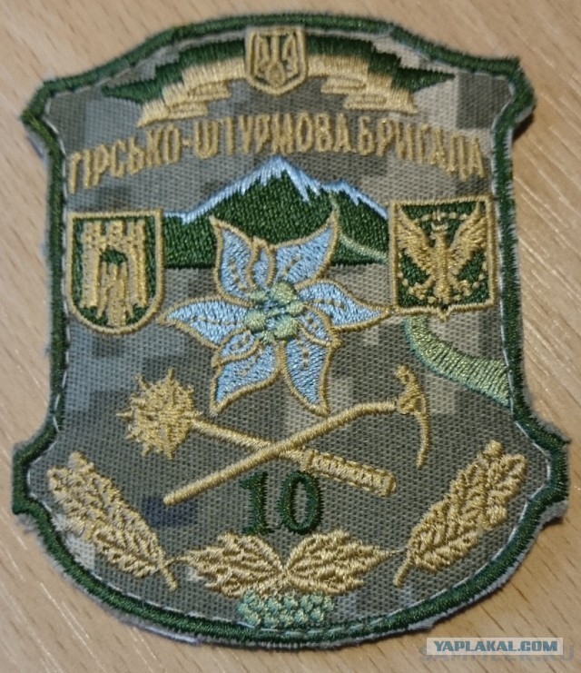 Минобороны РФ: Российские войска ведут бой с горно-штурмовой бригадой ВСУ