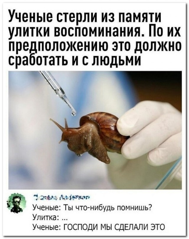 Забавные комментарии из социальных сетей (05.09.22)