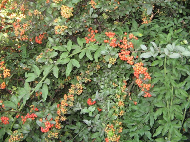 Отдых в Черногории (сентябрь 2012)