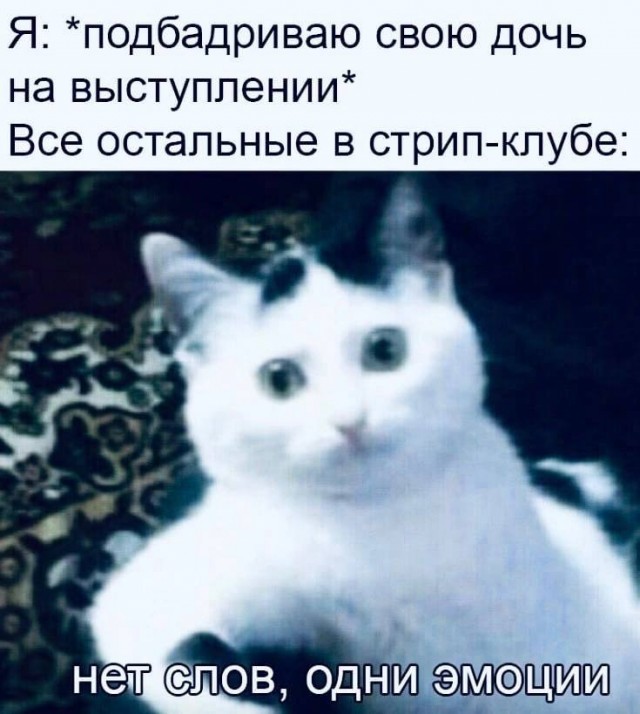 Немного мемчиков. Для взрослых. Часть 15